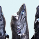 Image for article titled Scientists Officially Pronounce the "Ninja Lanternshark" a New Species